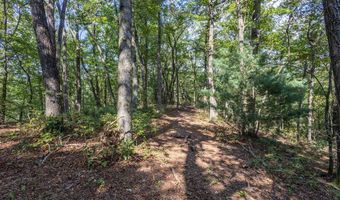 23 59 Ac Chestnut Flats Rd, Andrews, NC 28901
