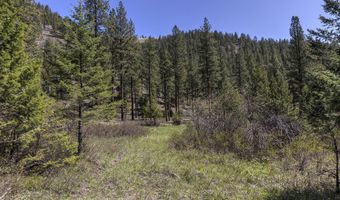 Nhn Mountain Vista Lane, Alberton, MT 59820