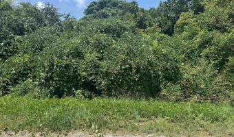 0 HIGHWAY 202, Anniston, AL 36201