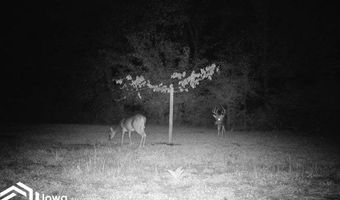 560 Th Ave, Albia, IA 52531