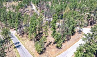 223 Lake Shore Dr Lot 1, Alto, NM 88312