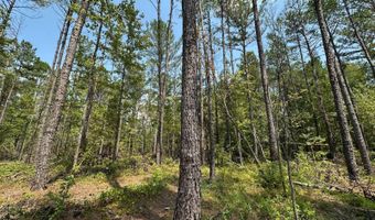 1 Champion Hill Rd, Bolton, MS 39041