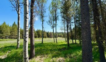 Tbd Sawtooth Loop, Cascade, ID 83611