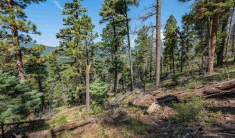 Vail Loop lot 400, Angel Fire, NM 87710