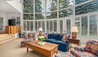 431 W Hopkins Ave, Aspen, CO 81611