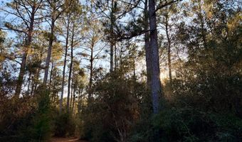 0 King Ln, Bay Minette, AL 36507