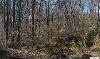 TBD Bassett Heights Ext, Bassett, VA 24055