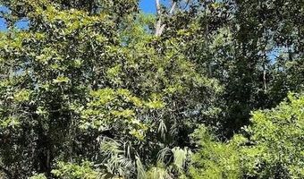135 Water Oaks Way, Apalachicola, FL 32320