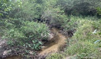 TBD NW CR 274, Altha, FL 32421