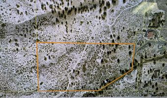 1219-04 002-005 Kingsbury Grade Rd, Gardnerville, NV 89460
