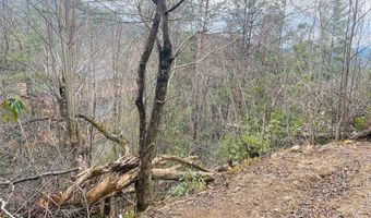 Lot 46 Ridge View Drive, Andrews, NC 28901
