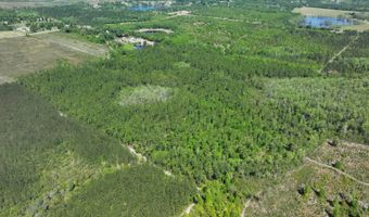 xxx County Hwy 73, Altha, FL 32421
