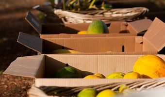 WAIOLU PL, Hawi, HI 96719