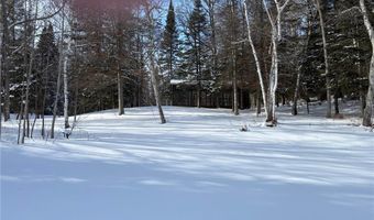 13102 Seaberg Ln, Bagley, MN 56621
