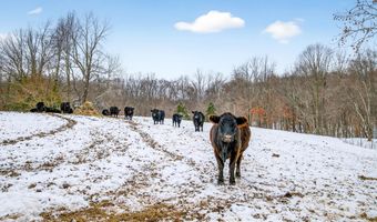 976 Vinegar Hill Rd, Bedford, IN 47421