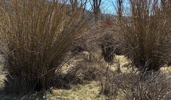 Cottonwood Drive lot 48, Antonito, CO 81120