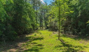 43 5 +/- A Old River Rd, Baker, FL 32531