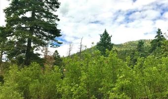 53 Paw A Suki, Arroyo Seco, NM 87514