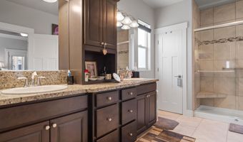 1146 Cheatgrass Dr, Dayton, NV 89403