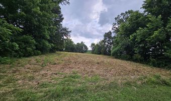 1157 E Dade 186, Ash Grove, MO 65604