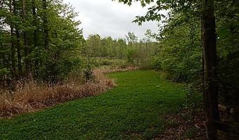 15252 27 Mile Rd, Albion, MI 49224