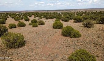 137 N5525, Concho, AZ 85924