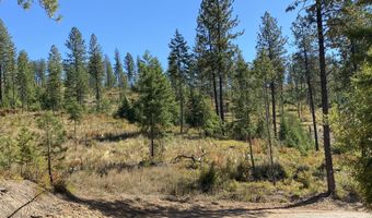 NNA Stone Rd Lot 5 20.0 Acres, Blanchard, ID 83804