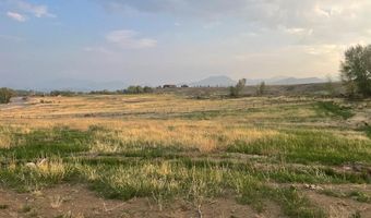1111 Buckskin Run, Challis, ID 83226