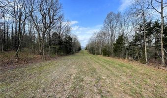 320 Acres CR 921, Alpena, AR 72611