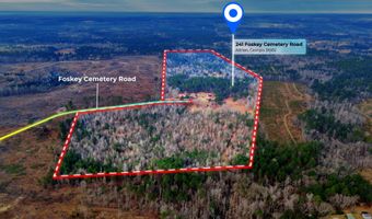 241 Foskey Cemetary Rd, Adrian, GA 31002