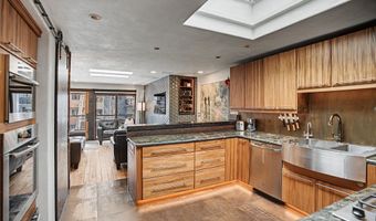100 E Dean St 3C, Aspen, CO 81611