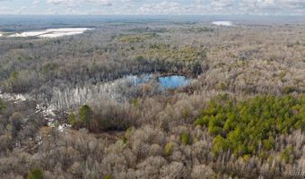 Brush Creek Dr, Akron, AL 35441