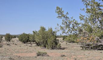 Ten Tanks Rd lot 6, Ash Fork, AZ 86320