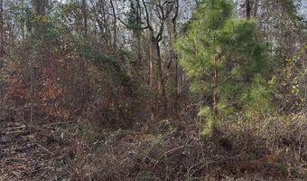 Singer Ln, Abbeville, AL 36310