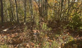 915 Wheeler Mountain Rd, Barton, VT 05822