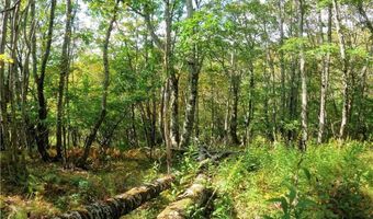 Tbd Arnett Road, Banner Elk, NC 28604
