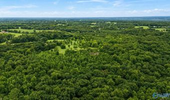 58 Acres Naples Ln, Arab, AL 35016