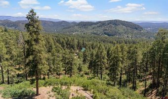 220 Hilltop Dr, Bayfield, CO 81122