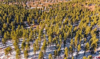 TBD Lot 13 Beaver Creek Ranch Drive, Bayfield, CO 81122