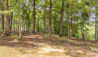 NELLS KNOB Cv, Bath Springs, TN 38311