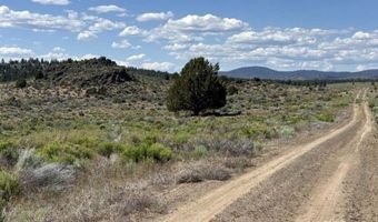 Medicine Mountain Drive, Beatty, OR 97621