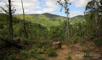 461 Reuben Wooten Rd, Banner Elk, NC 28604