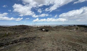 711 Saddle Ridge Rd, Bellvue, CO 80512
