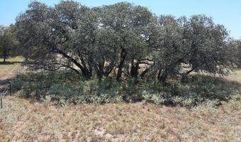 534 Whitetail Dr, Adkins, TX 78101
