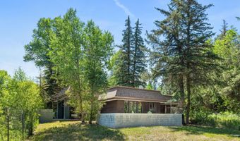 820 Twining Flats Rd, Aspen, CO 81611