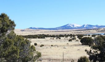 13 County Road 8006, Concho, AZ 85924