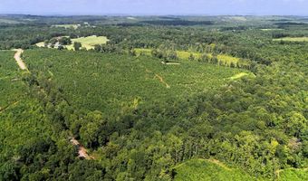 County Road 53, Banks, AL 36005