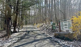Letties Ln, Balsam, NC 28779