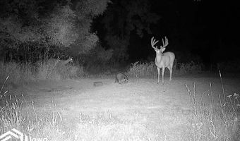 560 Th Ave, Albia, IA 52531