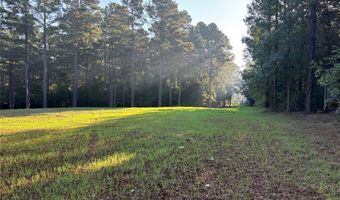 00 Old Plain Dealing Rd, Benton, LA 71006